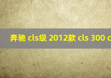 奔驰 cls级 2012款 cls 300 cgi